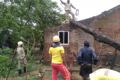 Bijepur-FS-unit-cutting-tree-at-Arala-dist-Balasore