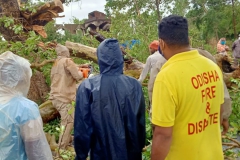 Bijepur-FS-unit-cutting-tree-at-Arala-dist-Balasore-5