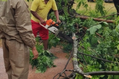 Restoration-activities-in-Jagatsinghpur-2