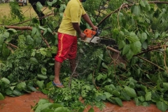 Restoration-activities-in-Jagatsinghpur-3