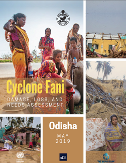 Cyclone Fani 2019 DLNA Report